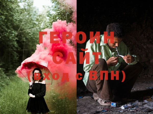 шишки Заволжье