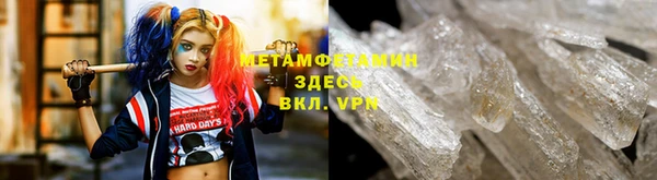 шишки Заволжье