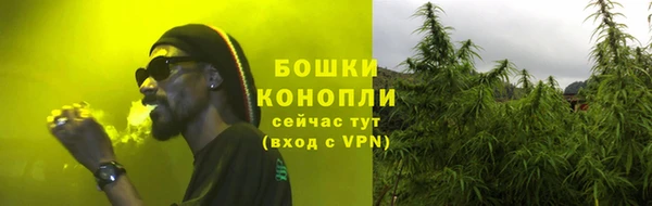 шишки Заволжье