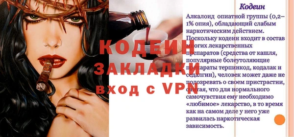 шишки Заволжье