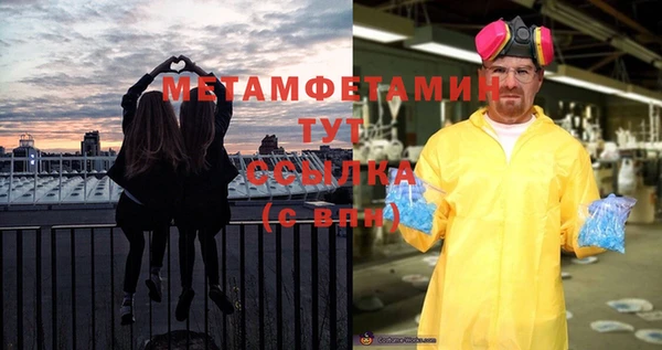 шишки Заволжье