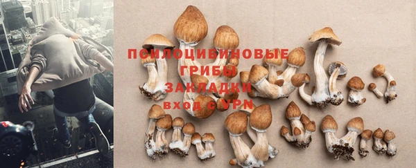 прущий лед Заводоуковск