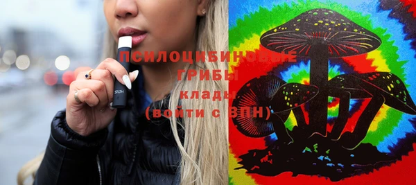 шишки Заволжье
