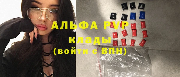 шишки Заволжье