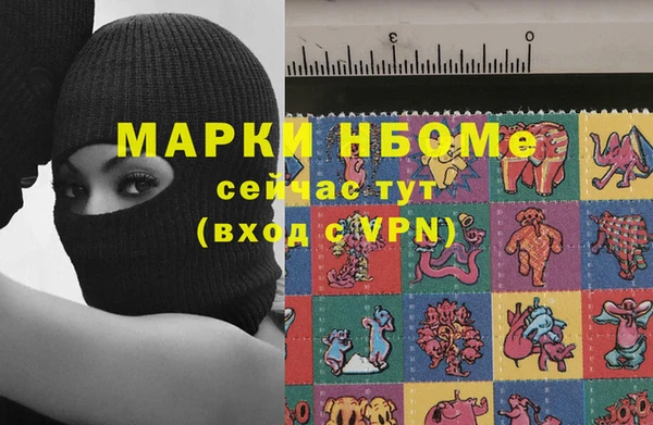 шишки Заволжье