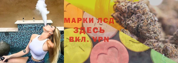 шишки Заволжье