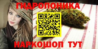 шишки Ипатово