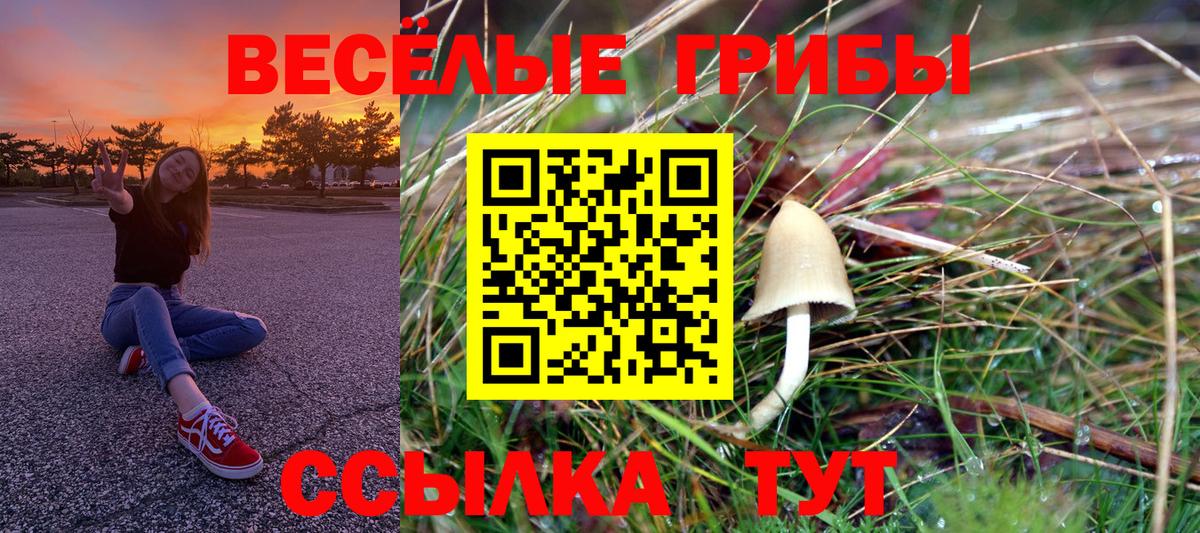 Псилоцибиновые грибы Cubensis Топки