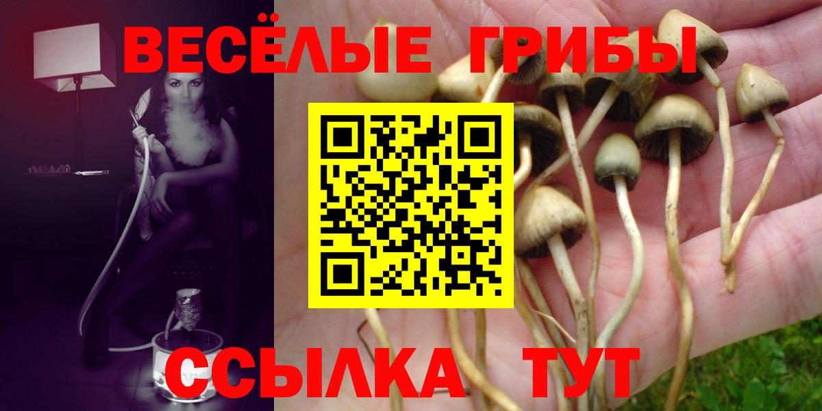 NBOMe  Гашиш  А ПВП СК   МДМА  МЕФ   Канабис  Вход с VPN  Топки  КОКАИН 