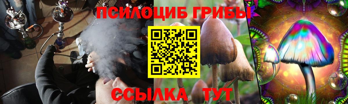 Галлюциногенные грибы Magic Shrooms  Галлюциногенные грибы мухоморы  купить  цена  Вход с VPN  Топки 